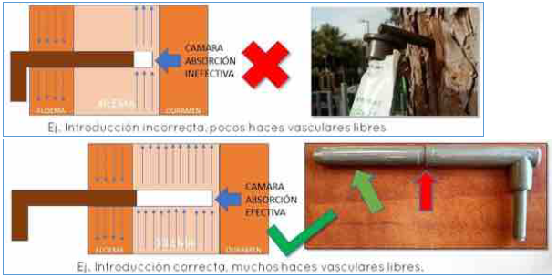 cómo clavar los conectores ynject?