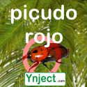 picudo rojo ynject