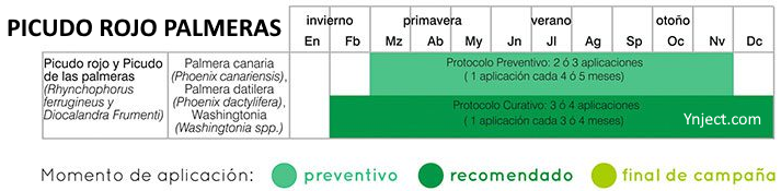 calendario tratamientos picudo rojo palmeras