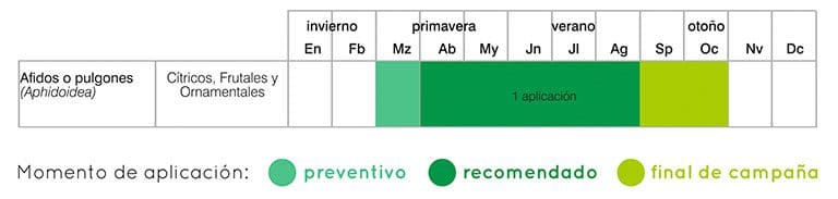 calendario tratamientos pulgón por endoterapia