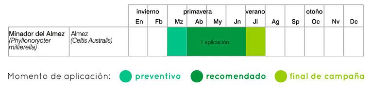 Calendario de tratamientos minadores por endoterapia