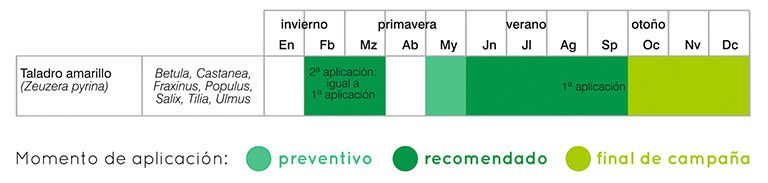 calendario tratamientos taladro