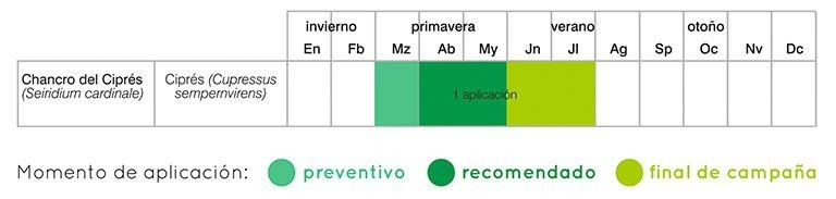 chancro del ciprés xilemax