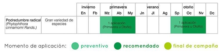 podredumbre xilemax